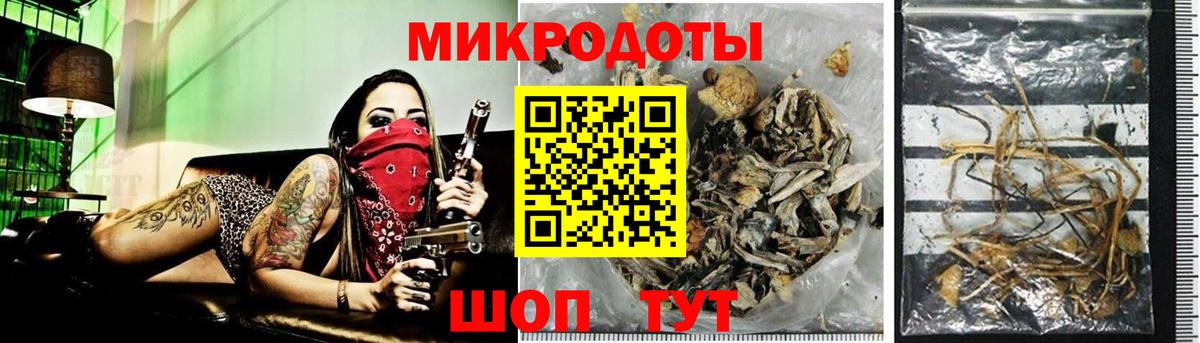 Псилоцибиновые грибы Psilocybe  Галлюциногенные грибы мицелий  Вход с VPN  Ярославль 
